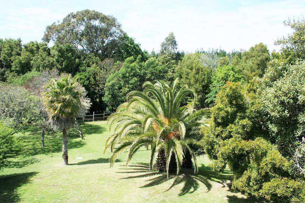 Ibis House Hotell Cape Town Eksteriør bilde